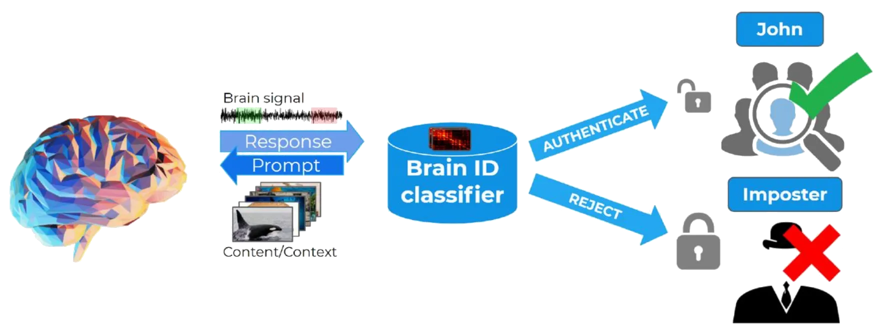 Brain-based Authentication
