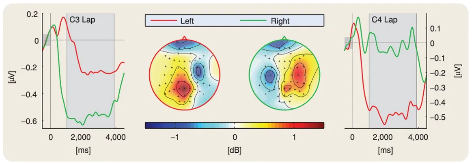 EEG signals from different brain regions