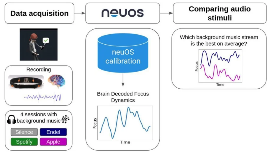 Schematic illustration of the data processing pipeline.